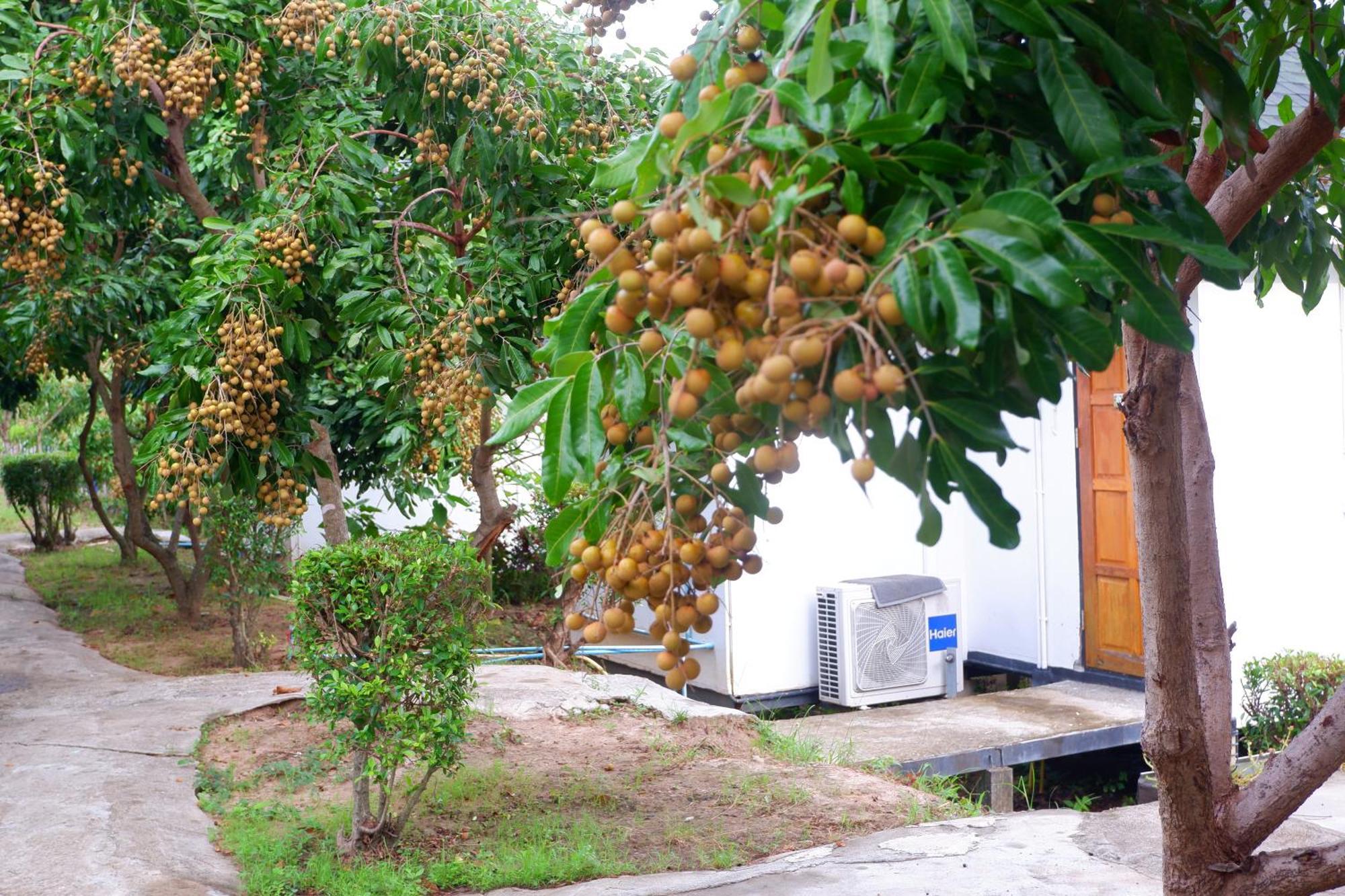 Nok Chan Mee Na Chom Thong Dış mekan fotoğraf